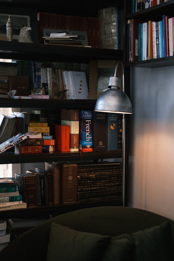 A warm and inviting home library corner featuring bookshelves and a modern floor lamp.